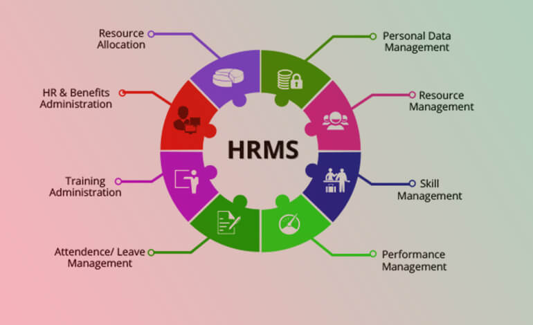 Streamline your HR operations with HRMS by 3SD Solutions